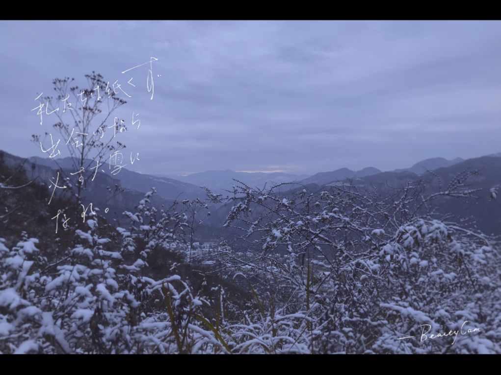 一骑红尘妃子笑,无人知是荔枝来,浅析奢华背后的大唐盛世