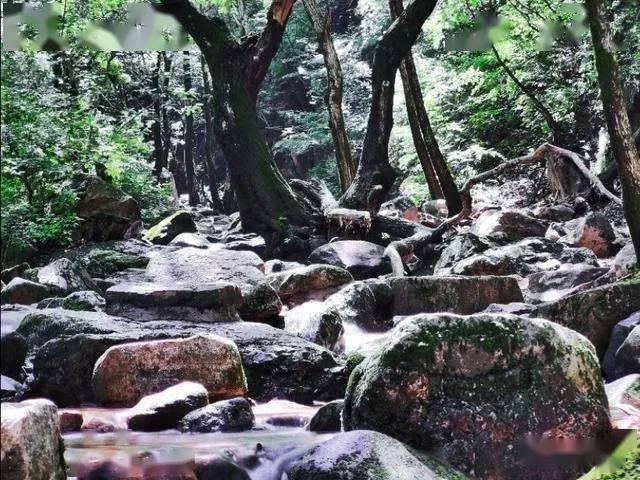 背靠茅台17分钟售罄1800瓶 台源酒如何破局大众酱酒