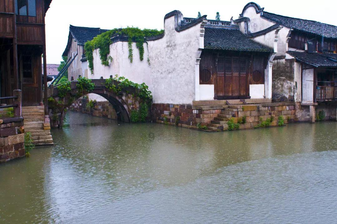 虫虫助手下载